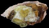 Yellow Cubic Fluorite - El Hammam Mine, Morocco #44881-2